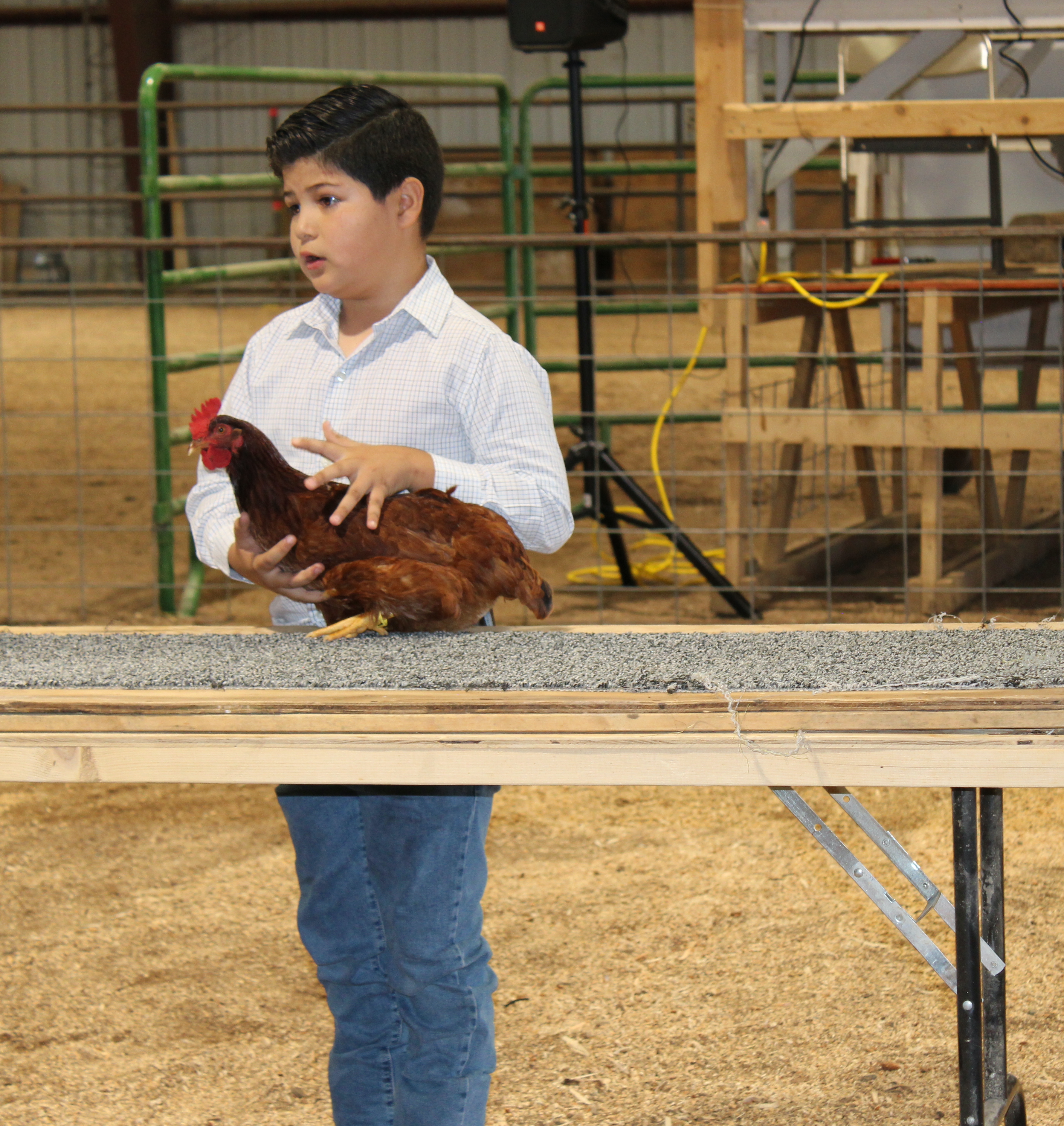 Taos County Fair 2024 Jr Livestock Show-Poultry Category-Juan I. Gonzales Agricultural Center-Taos, NM